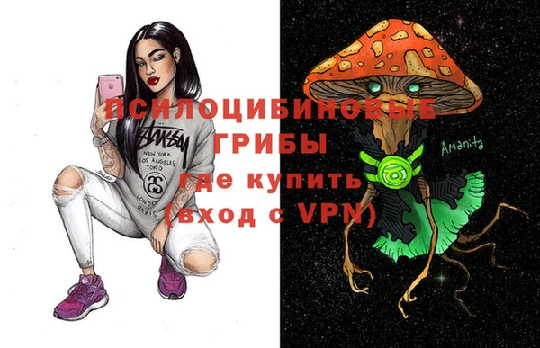 Альфа ПВП Лиски