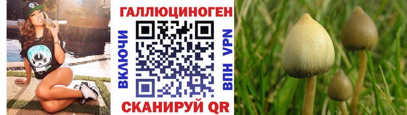 Галлюциногенные грибы GOLDEN TEACHER  цены наркотик  Таганрог 